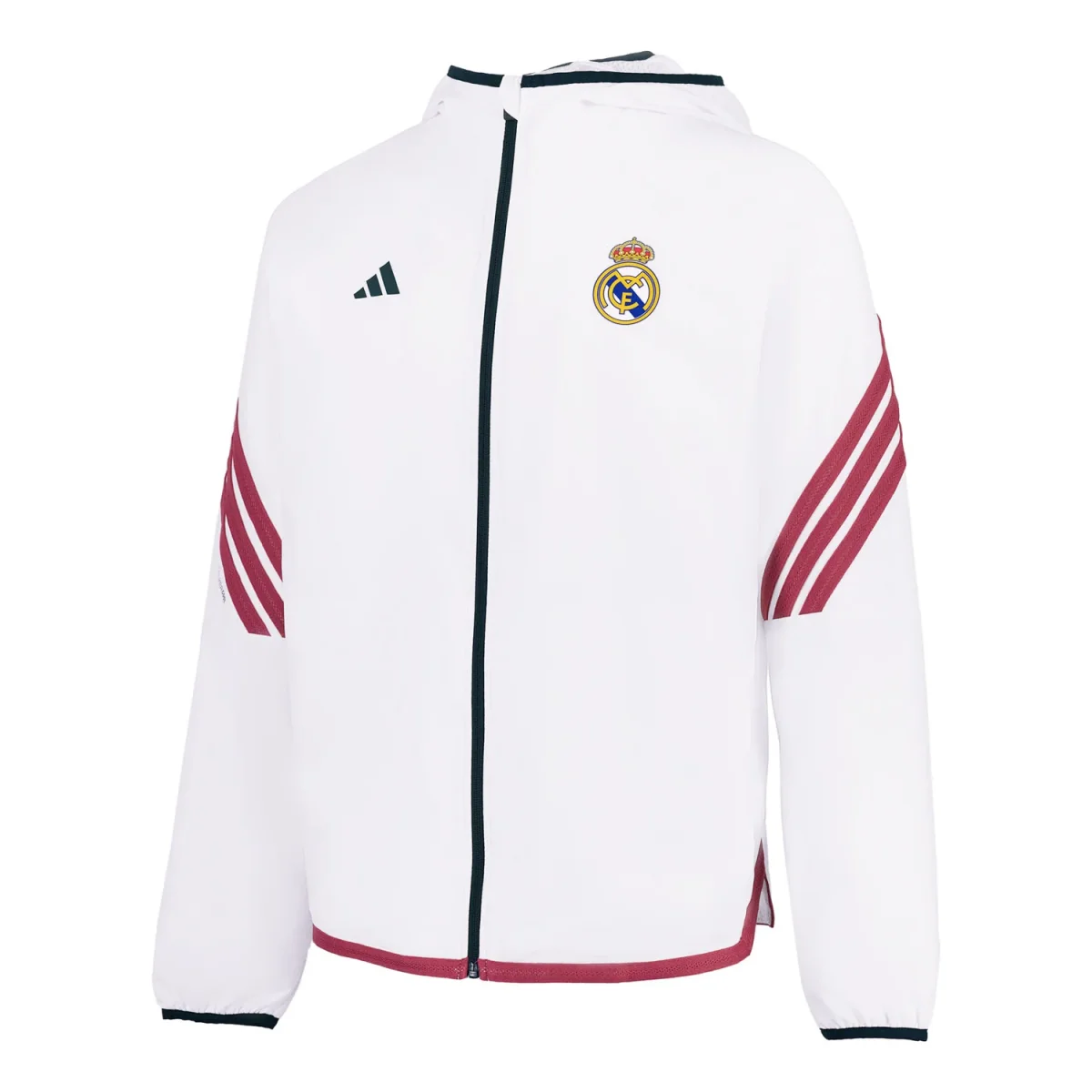 Chaqueta Calentamiento Baloncesto Hombre 26/27 Blanca - Image 4