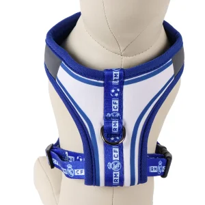 Arnés Perro XXS Azul